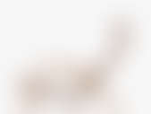 shutterstock_189089093_resize